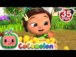 Counting Apples | +More Kids Songs and Nursery Rhymes | ‪@CoComelon‬