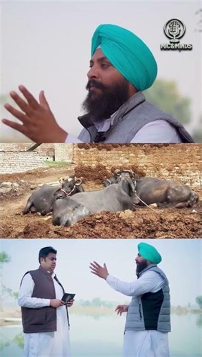 Fish Farmers Must Watch! Plankton Secrets Revealed | Mic & Minds