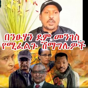 ኣብ ልዕሊ ታደሰ እንትበፅሕ ድዩ ዝርዳኣካ ኣብ ልዕሊ ጌታቸዉ እንትዘምትሉ ግደፉ እንትንብሎኩም ግን ኣይንሰምዕን ኢኹም ዝበልኹም ንሓዉካ ብስራት ከበደ ሓዊሱ | Voice O Tigray