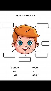 Body parts worksheet for kids | Alpha kids :worksheets and activities