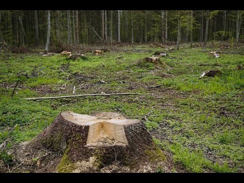 The Unity and Structure of Isaiah Part I