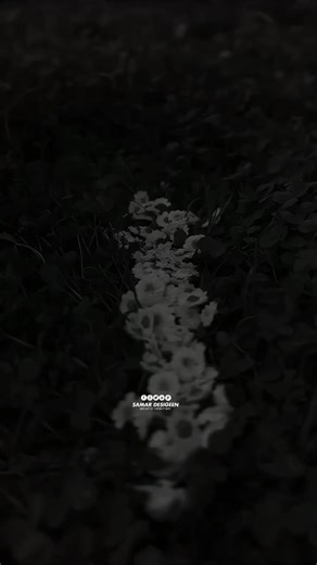 ‏لحظة سلام #Roysabbagh#Aakselkon #عكس_الكون #روي_صباغ #عبارتكم #fu