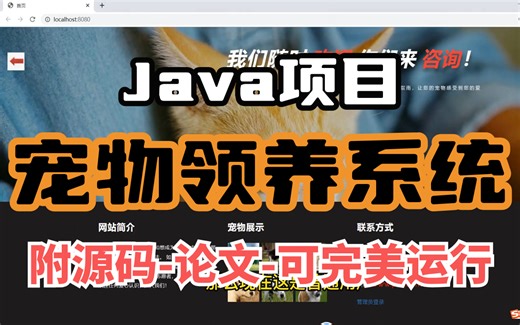 Java项目】宠物领养系统（附源码论文-可完美运行）手把手教学，轻松搞定毕设作业-java项目-java基础-web项目-前端