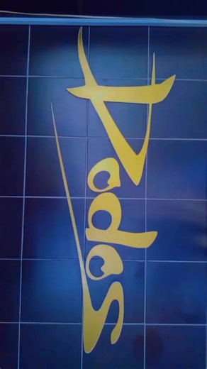 Exploring South African TikTok Trends: Dodos and More