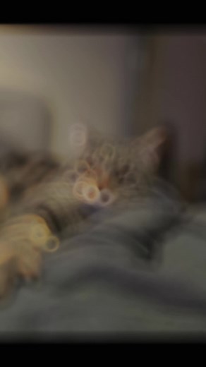 Some random guy (@spiketheguy)’s videos with original sound - Some random guy