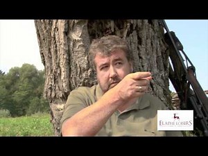 HUNTING IN CROATIA .mov