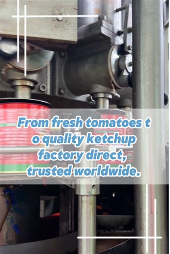 Explore Our Latest Product Catalog and Pricing