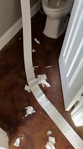 Lordy…. | Lone Star Dog Ranch & Dog Ranch Rescue