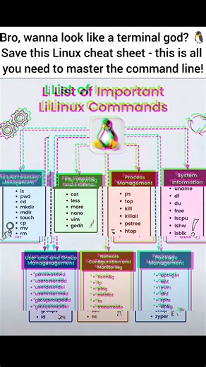 The Linux commands you actually use daily📈