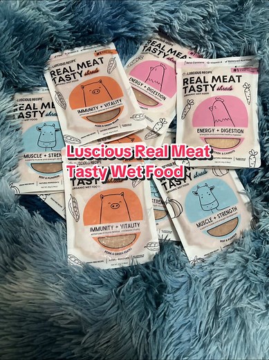 Nutritious Wet Food Recipe for Your Furbabies