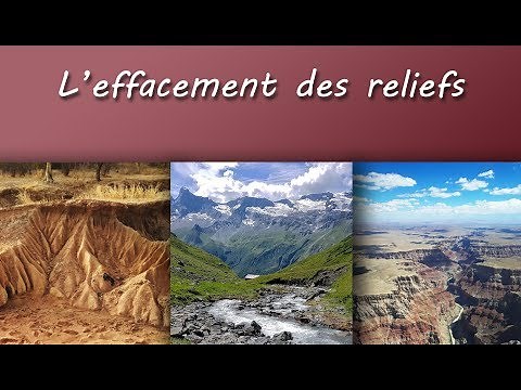 TS Course: The Erasure of Relief