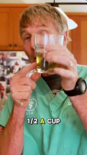 Green Tea Remedy for Dogs and Cats: Natural Relief for Eye Infection and Urinary Tract Issues Watch Full Video on YouTube: https://youtu.be/fThi875POnE #holisticvet #greentea #dog #cat #pethealth #pets
