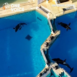 752K views · 7.9K reactions | Voici une vidéo exclusive de Morgan et...