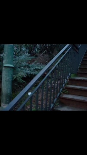 PACO BAUTISTA Instagram:@paco.bautistaifbbpro #bodybuilding #culturismo #pacobautista #mrolympia #cardio