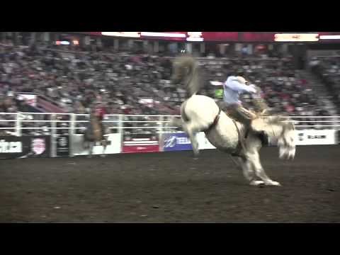 Canadian Finals Rodeo Day 1 highlights