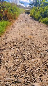 Jalur pabuaran lembur sawah | Rey Ctukang Ulin