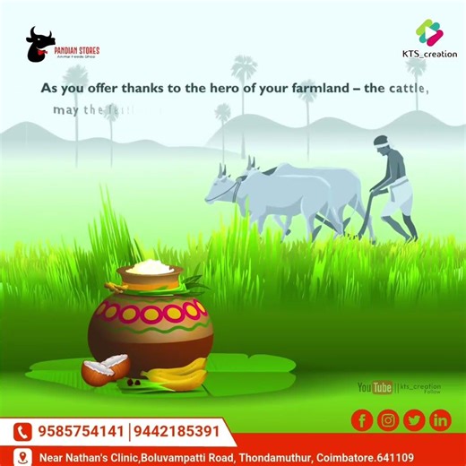 Pongal whatsapp status video | #2026 | #tamilnadu