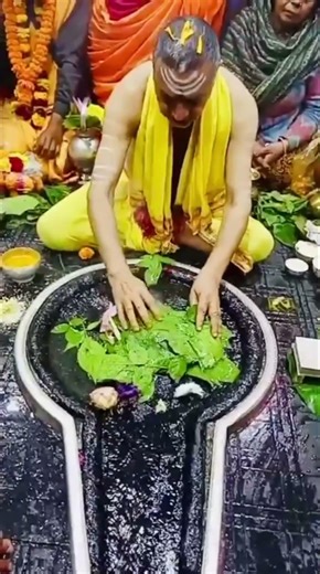 🙏🙏🌷🌷🙏🙏