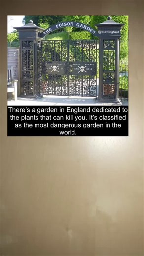 Thoughts? #factsandtheorieshub #TechTokTips