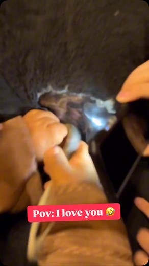 عندما يقول لك إنسان انه يحبك مثل أخيه تذكر قابيل وهابيل #ضحك #مقاطع_ضحك #مايد_الانصاري #مقالب #مقلب_مضحك #ابتسم | Mohamed Makki