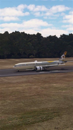 this plane lost its way to land EPS380