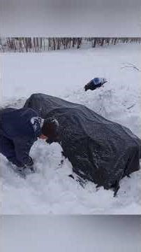 bushcraft cozy winter survival shelter #survival #campping #campfire