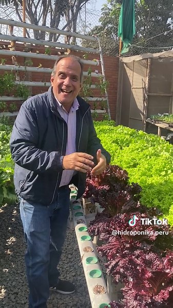 Curso presencial de hidroponía en La Molina