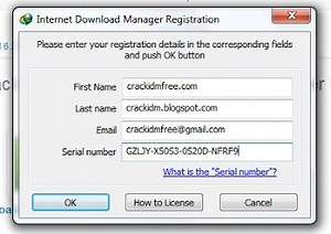 Internet Download Manager Registration Key Serial Number