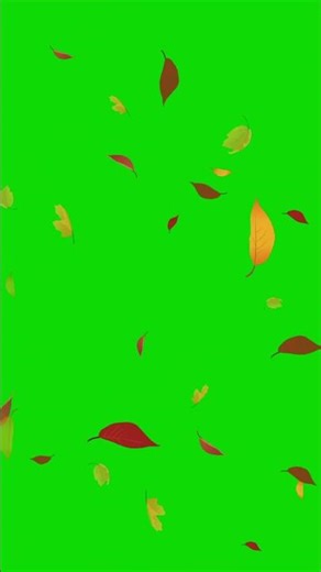 Falling leaves green screen autumn leaves chroma key animation | nature overlay #greenscreen #leaves
