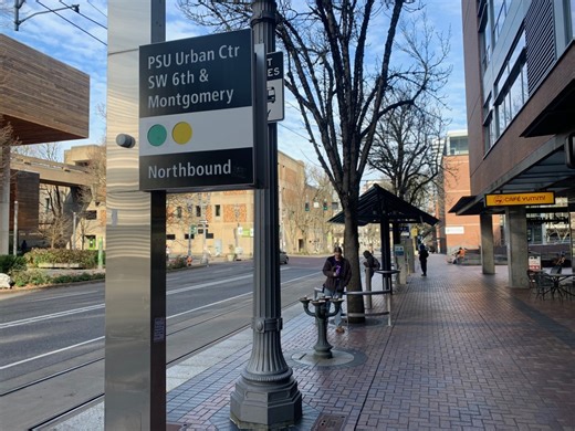 Portland trans woman attacked while waiting at MAX stop: Court docs