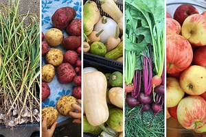 10 Essential Storage Crops You Need To Grow