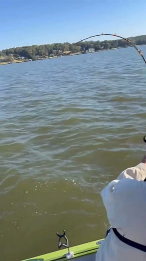 The new B'n'M Fishing Moonbeam Catfishing Rod is built to turn heads and haul in giants. Designed for power, balance, and unbeatable performance, this rod delivers where it matters most. See it in action and discover all its standout features in the latest issue of CatfishNOW. https://catfishnow.com/catfish-gear-93-bnms-new-moonbeam-catfish-rods-by-keith-catfish-sutton/ #BnMPoles #Catfishing #MoonbeamRod #CatfishNOW | Catfish NOW