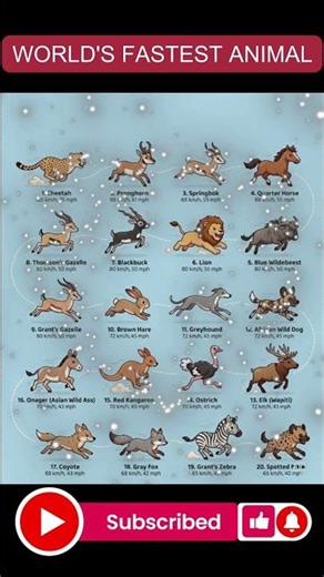 Fastest Animals in the World 🐆⚡|#FastestAnimals#AnimalSpeed#WildlifeFacts#mrbeast #souravjoshivlogs