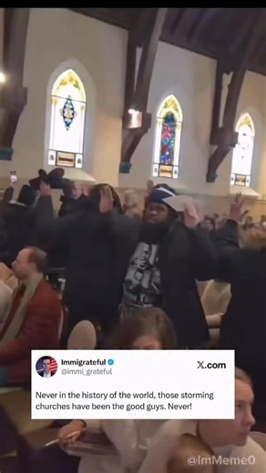 Immigrateful on Instagram: "The true brown shirts!"