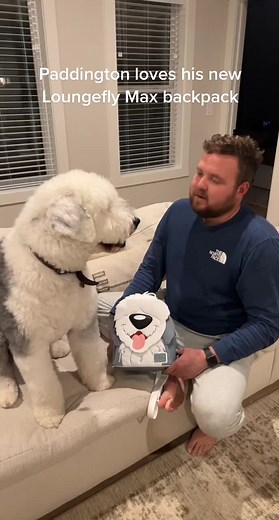 Adorable Little Mermaid Ariel Backpack for School