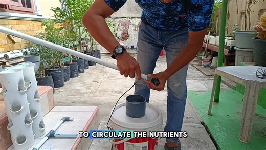 DIY Vertical Hydroponics Using Two 50 cm PVC Towers | Easy Home Gardening System #hydroponicsystem #verticalhydroponicsystem #homegardening #howtogrow | Petani Kota87 | Facebook