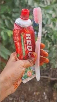 daily vlog 🌄 #minivlog #vlog #youtubevideo #nature #ytshorts