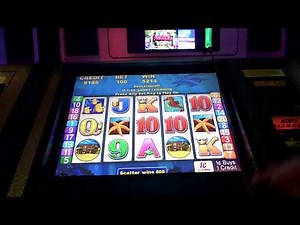 Dolphin Treasure Slot Machine Bonus