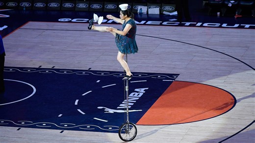 Red Panda Injured During WNBA Halftime Show