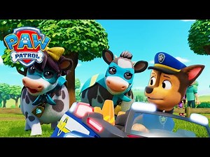 Super Cows! 🐮 - PAW Patrol - Cartoons for Kids