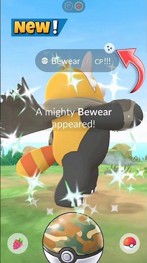 OMG✨️Shiny Mighty Bewear in Wild... Pokemon GO