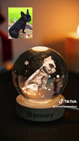 Customize this Christmas crystal ball night light with your pet’s photo—its warm glow and festive charm turn your furry buddy into a cozy holiday centerpiece! 🎄✨
