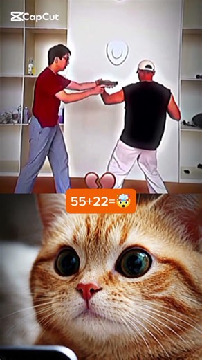 Only legends can answer this 😼 #shorts