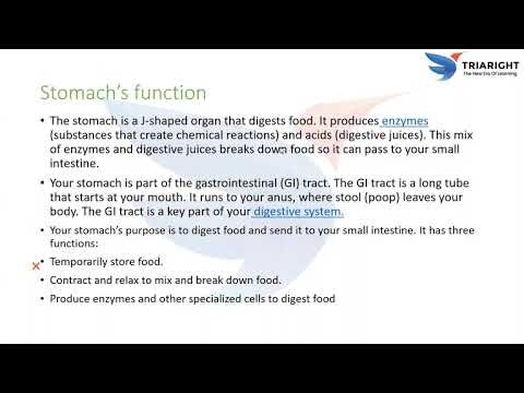 DISPLAY PROPERTY ALPHA CHANNEL VISIBILITY 23-JAN-2026