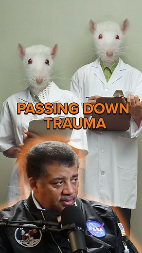 985K views · 28K reactions | How Mice Reveal Generational Trauma | StarTalk | Facebook