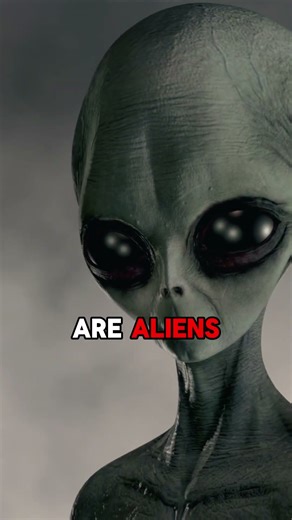 UFOs Are Real w/ Neil deGrasse Tyson