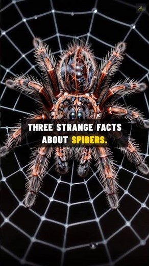 3 Strange Facts About Spiders