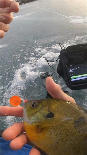 ABO | I Just Wanted to Measure it #shorts