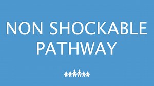 Management of Cardiopulmonary Resuscitation: Non Shockable Pathway