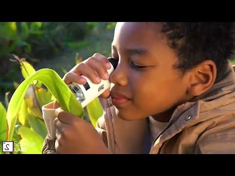 Mini Microscope Portable